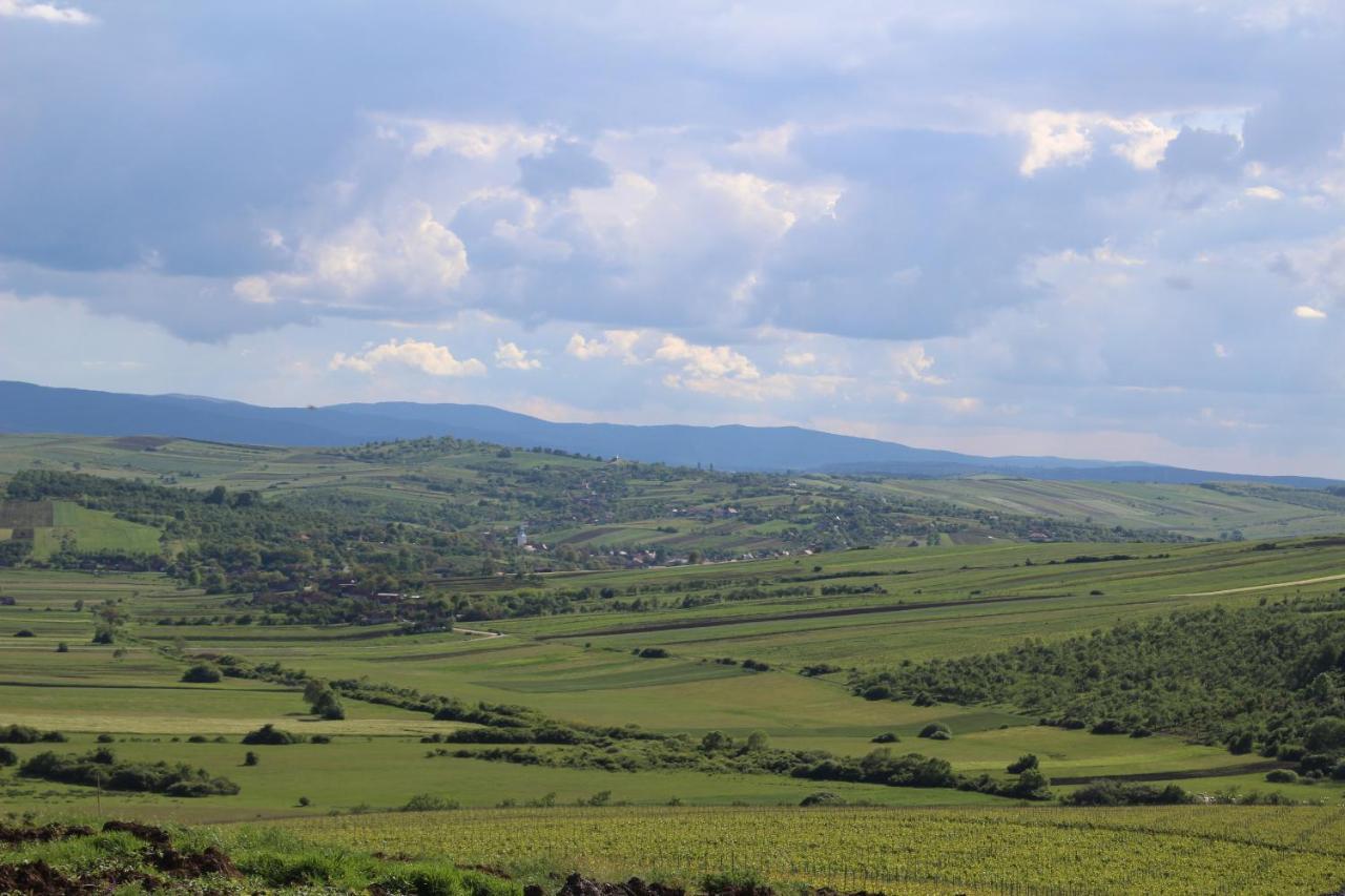 Pensiunea Kemsilvanum Fort Silvan Camar Esterno foto