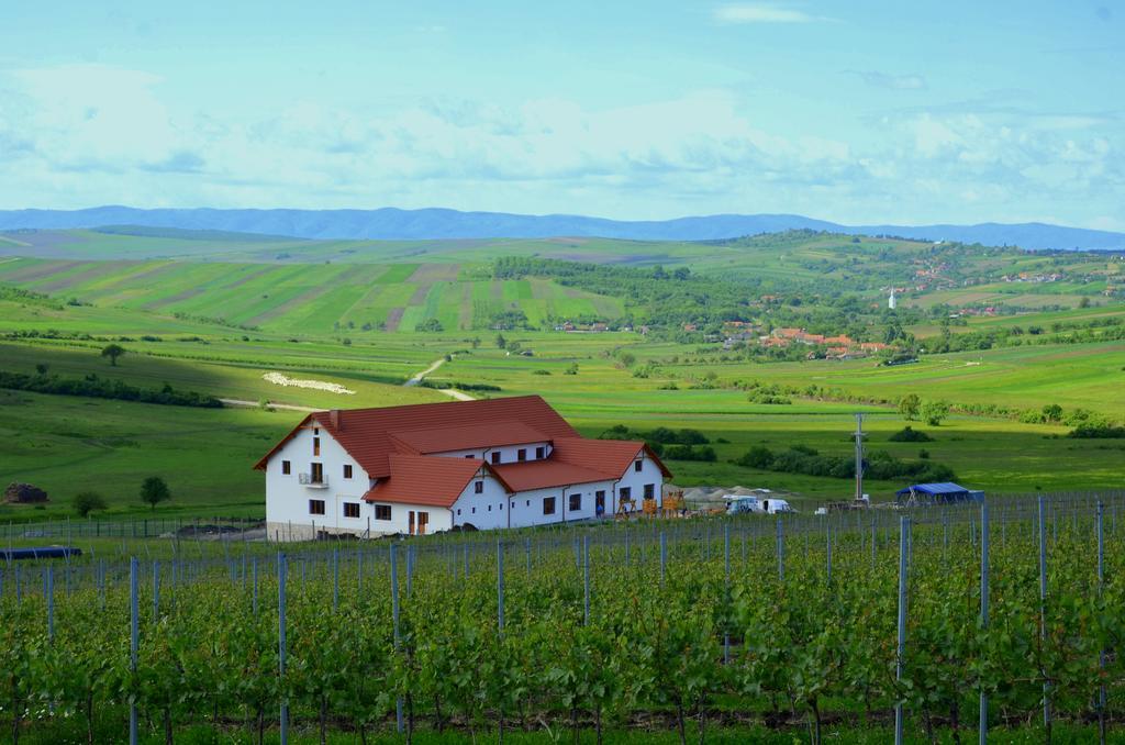 Pensiunea Kemsilvanum Fort Silvan Camar Esterno foto