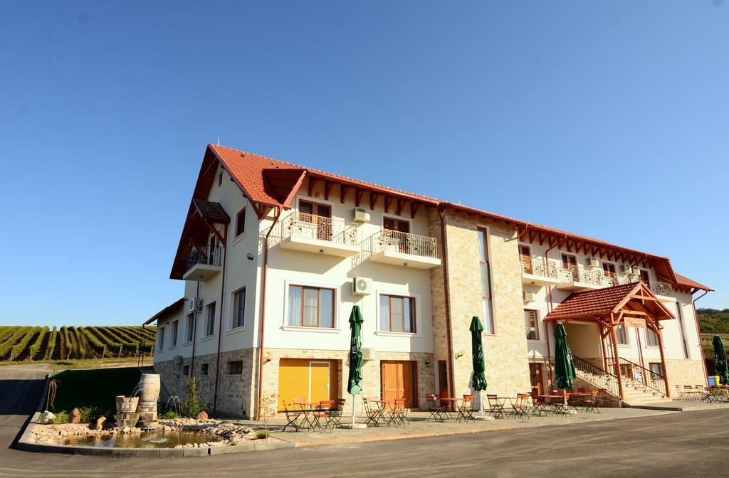 Pensiunea Kemsilvanum Fort Silvan Camar Esterno foto